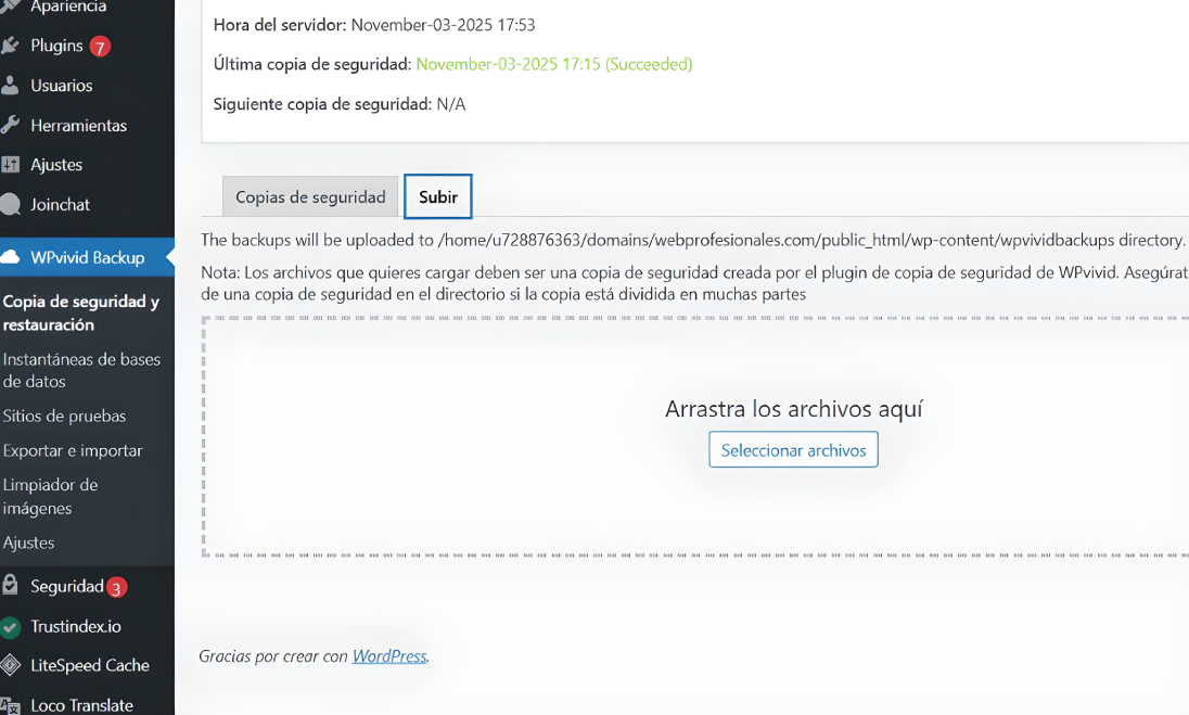 Subir el archivo .zip de la plantilla WordPress + elementor a WPvivid